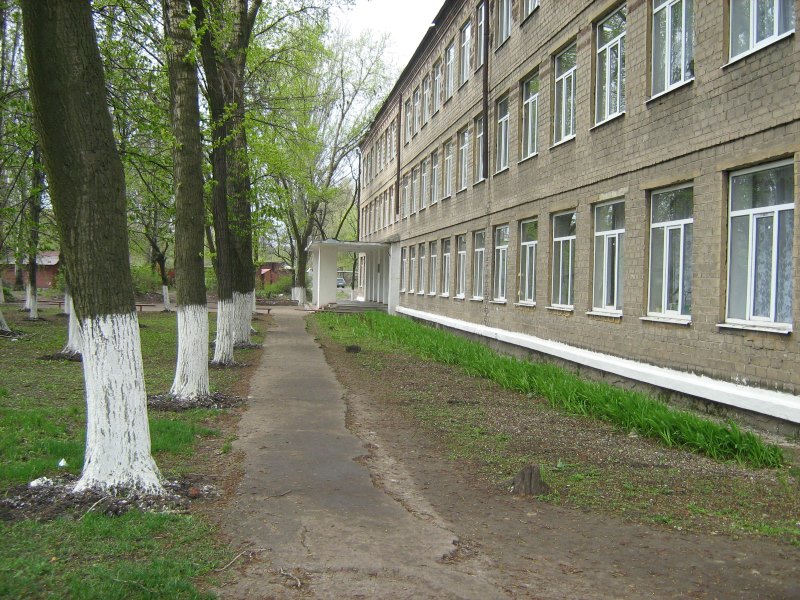 Аллея вдоль учебного корпуса